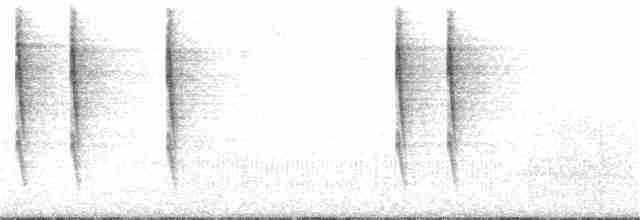 Тихоокеанский крапивник - ML125248591