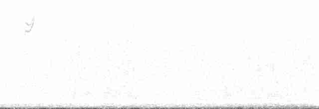 Cuitlacoche Pálido (lecontei/macmillanorum) - ML125266