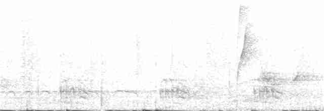Белобородый колибри-отшельник - ML125267401