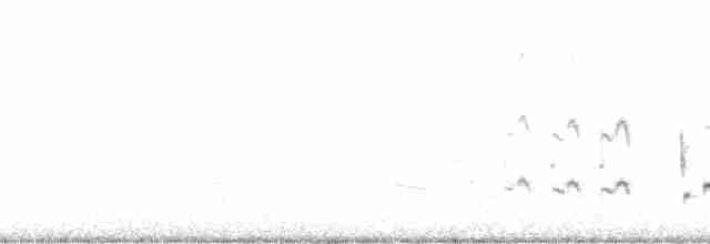 Cuitlacoche Pálido (lecontei/macmillanorum) - ML125280