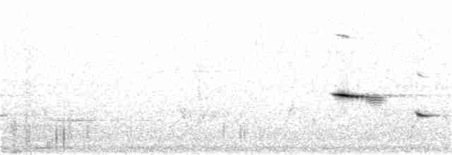 Pardalote pointillé (punctatus) - ML125284191
