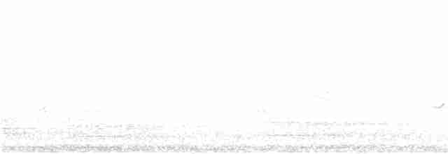 Серая веерохвостка (albiscapa) - ML125284321