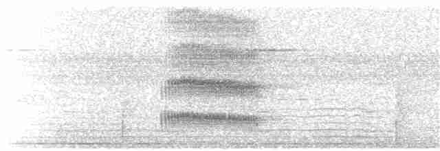 Çift Şeritli Taçlı Tiran - ML125321161