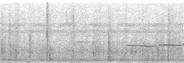 Güneyli Kestanerengi Karıncakuşu - ML125387981