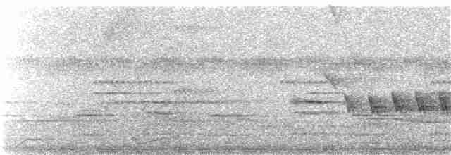 カオジロブユムシクイ（parvirostris） - ML125391101