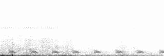 Large-tailed Nightjar - ML125469181