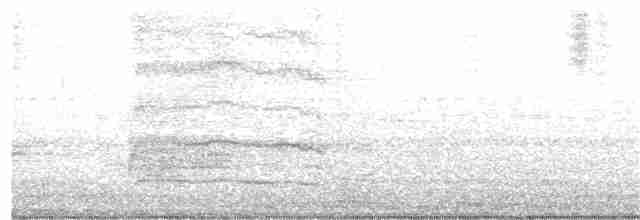 Indian Gray Hornbill - ML125490711