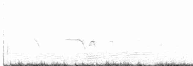 צחיחן שחור-כיפה - ML125498731