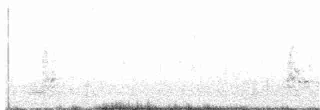 Траурный дронго - ML125499701