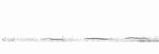Brushland Tinamou - ML125533691