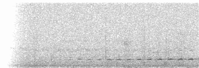 Bindenbrust-Ameisendrossel - ML125591401