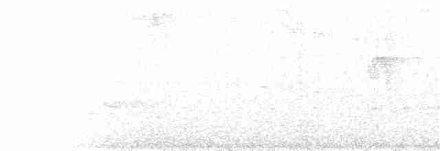 Çizgili Başlı Karıncaavcısı - ML125593691