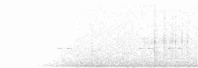 Çizgili Başlı Karıncaavcısı - ML125593711