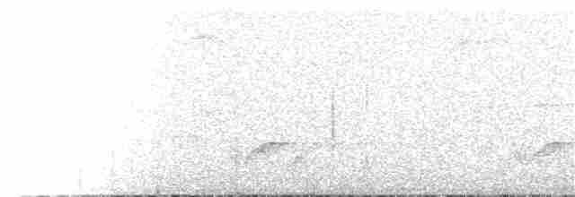 Çizgili Başlı Karıncaavcısı - ML125599991