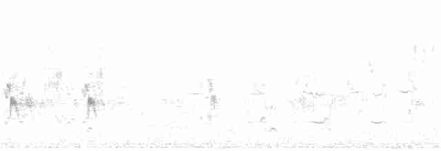 Міагра білогорла - ML125762411
