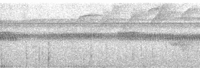 Соловьиный крапивник [группа marginatus] - ML125892