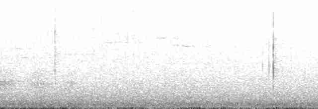 Изменчивый куравонг (versicolor/plumbea) - ML125933