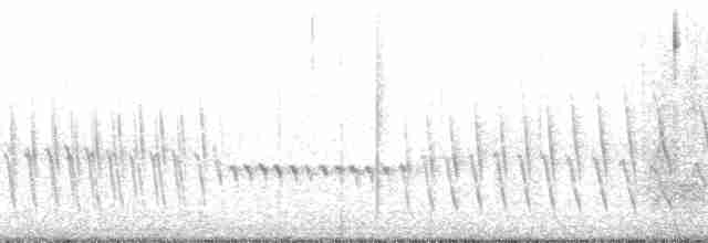 Хохлатая птица-колокольчик - ML125956