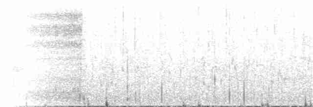 小秧雞 - ML126021441