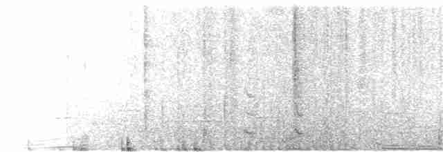 Méliphage carillonneur - ML126021771