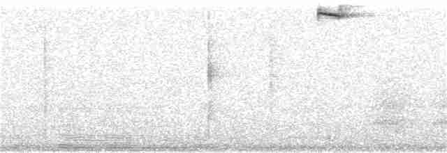 Черноухий колибри - ML126056491