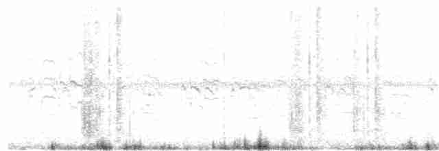 Antillenseeschwalbe - ML126243631