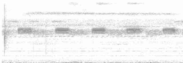 hvitvingetrompetfugl - ML126249231