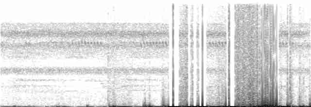 Paují Tuberoso - ML126249761
