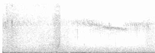 Омелюх звичайний - ML126252601