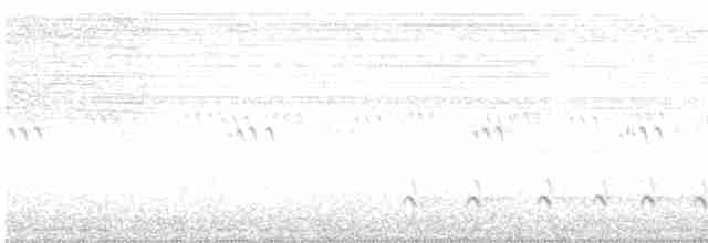 Pileated Woodpecker - ML126284111