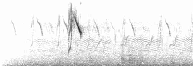 konipas luční (ssp. feldegg) - ML126294501