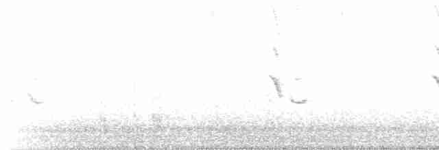 American Goldfinch - ML126360101