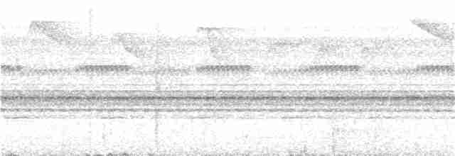 Коричневый колибри-отшельник - ML126384951