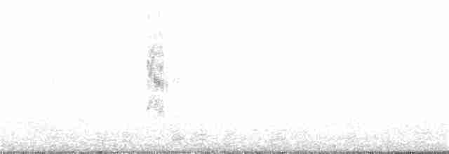 Weißbart-Seeschwalbe - ML126386311