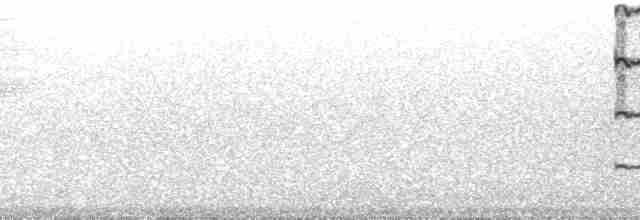 Kulaklı Orman Baykuşu (wilsonianus/tuftsi) - ML126493