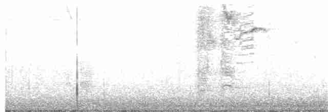 Лодкохвостый гракл - ML126499341