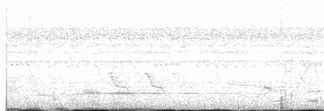 Variegated Tinamou - ML126539211