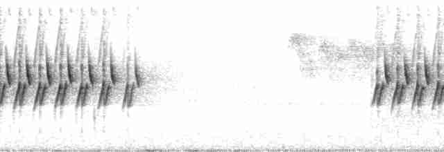 Kara Gözlü Junko [oreganus grubu] - ML126556