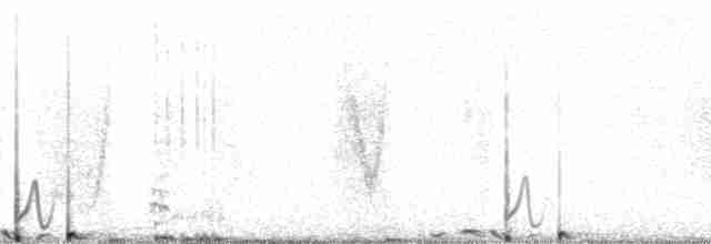 Gallo de las Artemisas Grande - ML126562