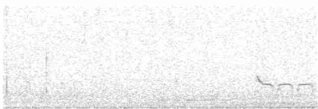 Common Redshank - ML126579401