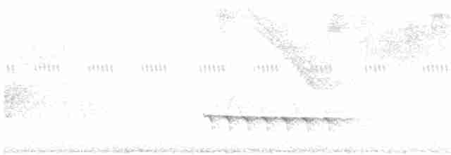 Крапчатый торорой - ML126623071