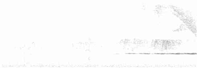 Крапчатый торорой - ML126623091