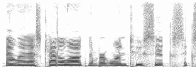 Грімпар сірощокий (підвид fuliginosa/rufoolivacea) - ML126644