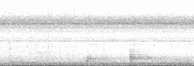 Ak Kaşlı Karıncakuşu - ML126652