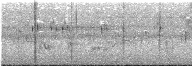Spotted Bush Warbler - ML126676011