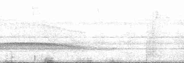 Grimpar fauvette (groupe griseicapillus) - ML126702