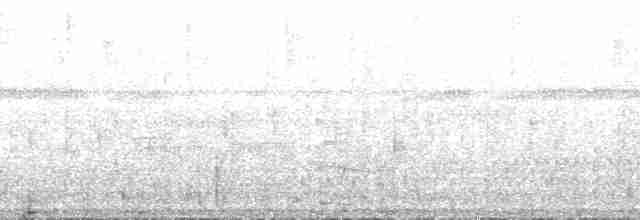 Riverbank Warbler (Northern) - ML126713