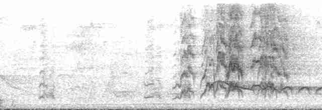 Conure de Hellmayr (amazonum) - ML126737