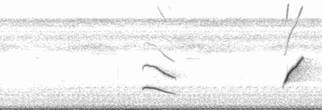 Oriole à épaulettes (cayanensis) - ML126776