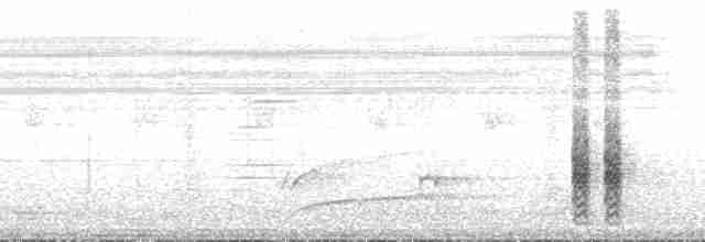 Epaulet Oriole (Epaulet) - ML126788